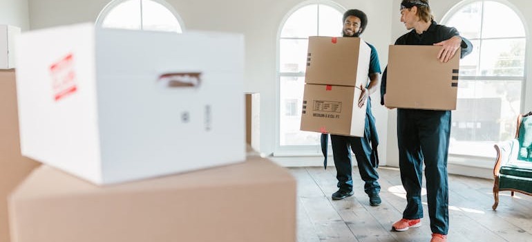 Movers holding boxes