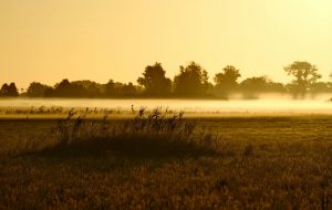 A field before the storm.